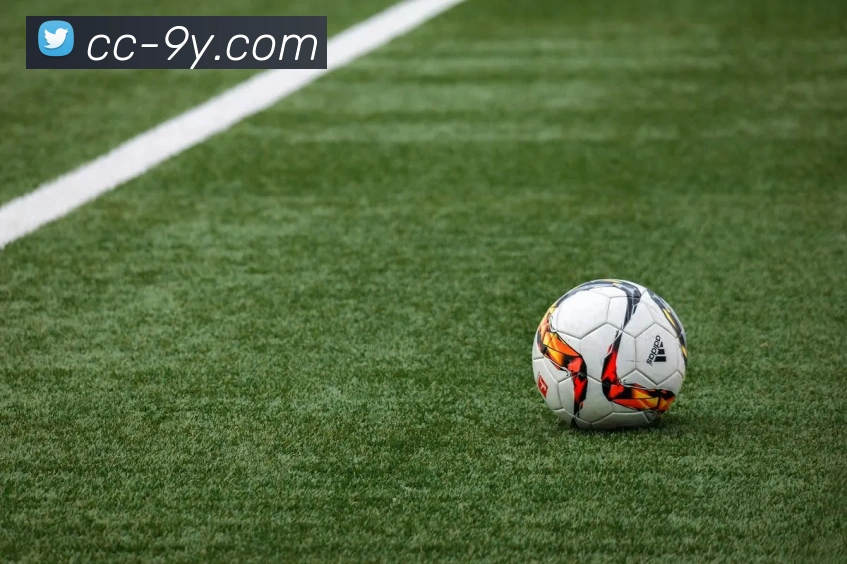 九游官网发展历程